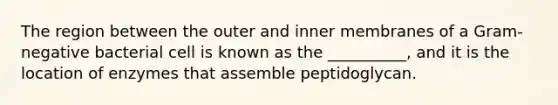 The region between the outer and inner membranes of a Gram-negative bacterial cell is known as the __________, and it is the location of enzymes that assemble peptidoglycan.