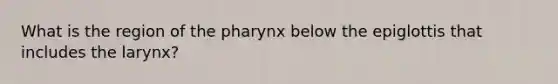 What is the region of the pharynx below the epiglottis that includes the larynx?