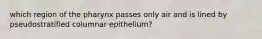 which region of the pharynx passes only air and is lined by pseudostratified columnar epithelium?