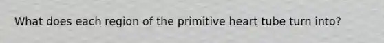 What does each region of the primitive heart tube turn into?