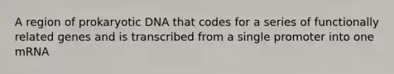 A region of prokaryotic DNA that codes for a series of functionally related genes and is transcribed from a single promoter into one mRNA