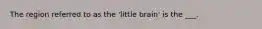 The region referred to as the 'little brain' is the ___.