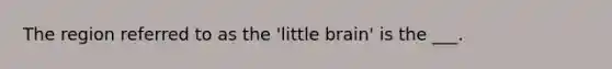 The region referred to as the 'little brain' is the ___.