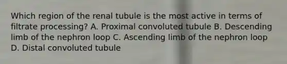 Which region of the renal tubule is the most active in terms of filtrate processing? A. Proximal convoluted tubule B. Descending limb of the nephron loop C. Ascending limb of the nephron loop D. Distal convoluted tubule