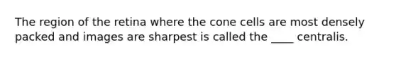 The region of the retina where the cone cells are most densely packed and images are sharpest is called the ____ centralis.