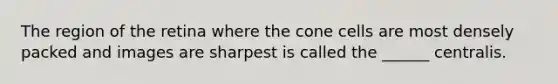 The region of the retina where the cone cells are most densely packed and images are sharpest is called the ______ centralis.