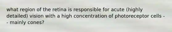what region of the retina is responsible for acute (highly detailed) vision with a high concentration of photoreceptor cells -- mainly cones?