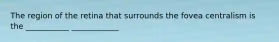 The region of the retina that surrounds the fovea centralism is the ___________ ____________