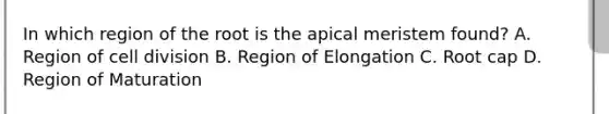 In which region of the root is the apical meristem found? A. Region of cell division B. Region of Elongation C. Root cap D. Region of Maturation