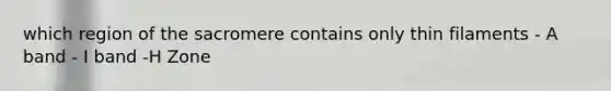which region of the sacromere contains only thin filaments - A band - I band -H Zone