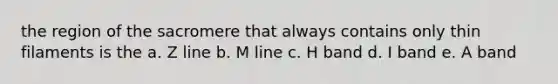 the region of the sacromere that always contains only thin filaments is the a. Z line b. M line c. H band d. I band e. A band