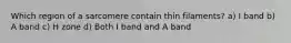 Which region of a sarcomere contain thin filaments? a) I band b) A band c) H zone d) Both I band and A band