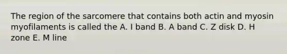 The region of the sarcomere that contains both actin and myosin myofilaments is called the A. I band B. A band C. Z disk D. H zone E. M line