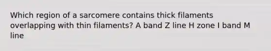 Which region of a sarcomere contains thick filaments overlapping with thin filaments? A band Z line H zone I band M line