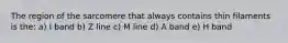 The region of the sarcomere that always contains thin filaments is the: a) I band b) Z line c) M line d) A band e) H band