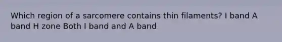 Which region of a sarcomere contains thin filaments? I band A band H zone Both I band and A band