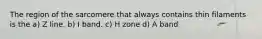 The region of the sarcomere that always contains thin filaments is the a) Z line. b) I band. c) H zone d) A band