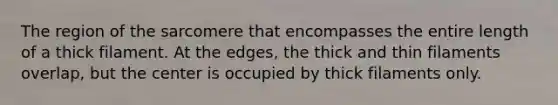 The region of the sarcomere that encompasses the entire length of a thick filament. At the edges, the thick and thin filaments overlap, but the center is occupied by thick filaments only.