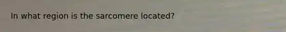 In what region is the sarcomere located?