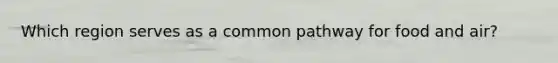 Which region serves as a common pathway for food and air?