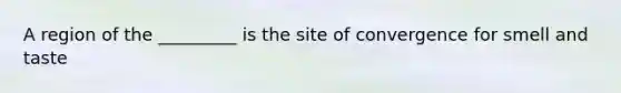 A region of the _________ is the site of convergence for smell and taste