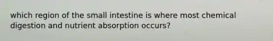 which region of the small intestine is where most chemical digestion and nutrient absorption occurs?