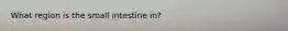 What region is the small intestine in?