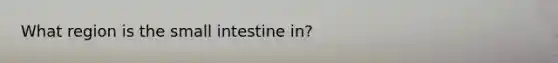 What region is <a href='https://www.questionai.com/knowledge/kt623fh5xn-the-small-intestine' class='anchor-knowledge'>the small intestine</a> in?