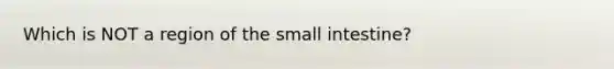 Which is NOT a region of the small intestine?