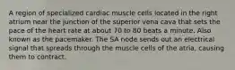 A region of specialized cardiac muscle cells located in the right atrium near the junction of the superior vena cava that sets the pace of the heart rate at about 70 to 80 beats a minute. Also known as the pacemaker. The SA node sends out an electrical signal that spreads through the muscle cells of the atria, causing them to contract.