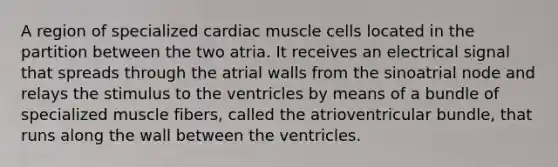 A region of specialized cardiac muscle cells located in the partition between the two atria. It receives an electrical signal that spreads through the atrial walls from the sinoatrial node and relays the stimulus to the ventricles by means of a bundle of specialized muscle fibers, called the atrioventricular bundle, that runs along the wall between the ventricles.