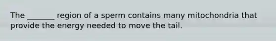 The _______ region of a sperm contains many mitochondria that provide the energy needed to move the tail.