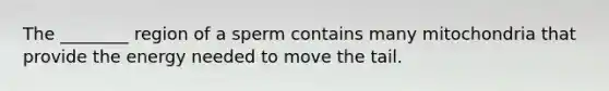 The ________ region of a sperm contains many mitochondria that provide the energy needed to move the tail.