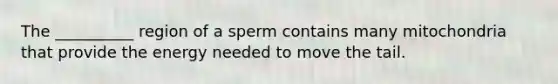 The __________ region of a sperm contains many mitochondria that provide the energy needed to move the tail.