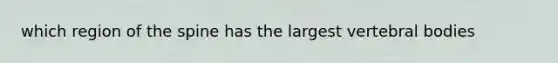 which region of the spine has the largest vertebral bodies