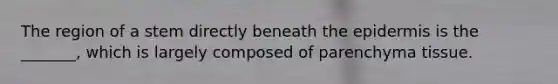 The region of a stem directly beneath the epidermis is the _______, which is largely composed of parenchyma tissue.