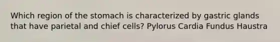 Which region of the stomach is characterized by gastric glands that have parietal and chief cells? Pylorus Cardia Fundus Haustra