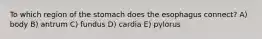 To which region of the stomach does the esophagus connect? A) body B) antrum C) fundus D) cardia E) pylorus