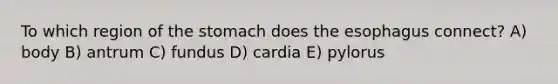 To which region of the stomach does the esophagus connect? A) body B) antrum C) fundus D) cardia E) pylorus