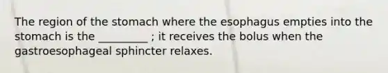 The region of the stomach where the esophagus empties into the stomach is the _________ ; it receives the bolus when the gastroesophageal sphincter relaxes.
