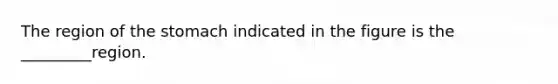 The region of the stomach indicated in the figure is the _________region.