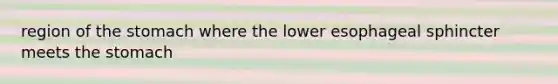 region of the stomach where the lower esophageal sphincter meets the stomach