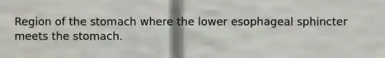 Region of the stomach where the lower esophageal sphincter meets the stomach.