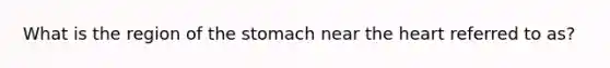 What is the region of the stomach near the heart referred to as?