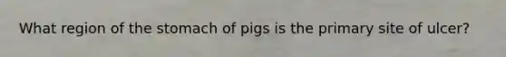 What region of the stomach of pigs is the primary site of ulcer?