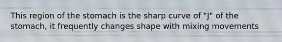 This region of the stomach is the sharp curve of "J" of the stomach, it frequently changes shape with mixing movements