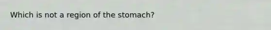 Which is not a region of the stomach?