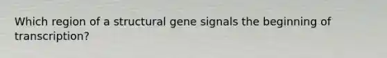 Which region of a structural gene signals the beginning of transcription?