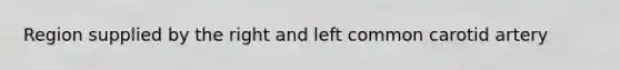 Region supplied by the right and left common carotid artery