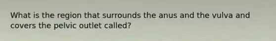 What is the region that surrounds the anus and the vulva and covers the pelvic outlet called?